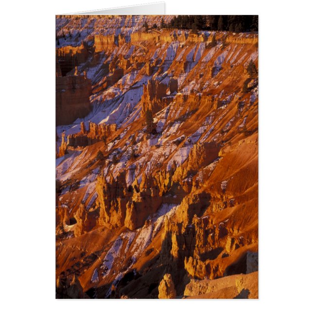 Amérique du Nord, États-Unis, Utah, Bryce Canyon (Devant)