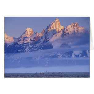 Amérique du Nord, États-Unis, Wyoming, Parc nation