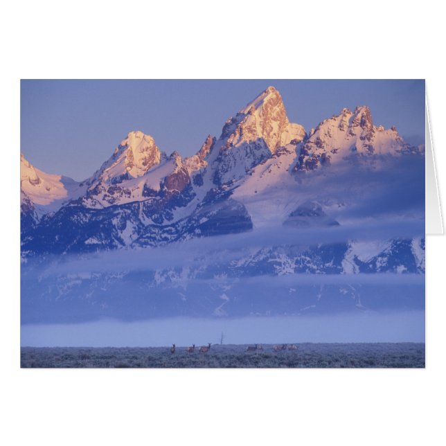 Amérique du Nord, USA, Wyoming, Grand Teton NP, 2 (Devant horizontal)