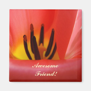 Ami Incroyable ! aimant Tulipe Rouge Fleur