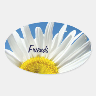 Amis autocollants White Daisy Flowers phoques