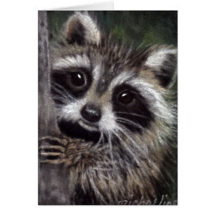 Amis ? Carte Raccoon