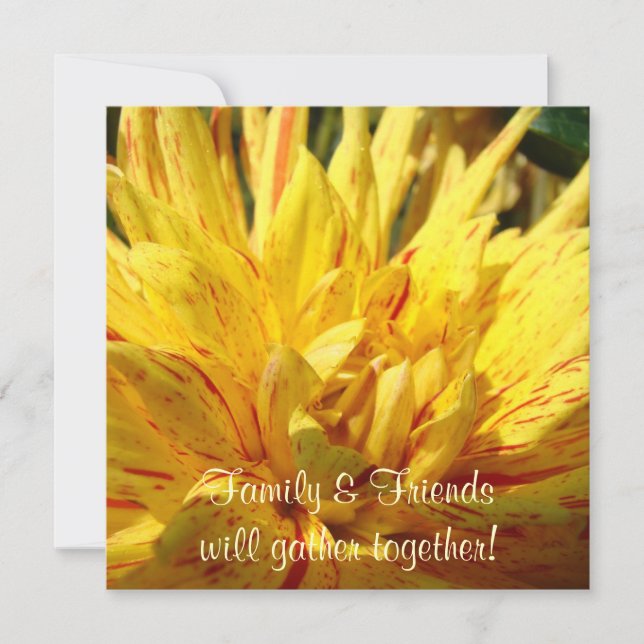 Amis de la famille se rassemblent ! Invitations Da (Devant)