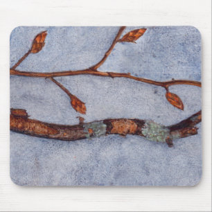 Amis du Tapis de Souris en Arbre