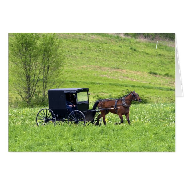 Amish cheval et buggy près de Berlin, Ohio. (Devant horizontal)