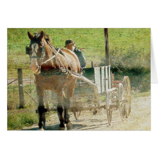 Amish Horse and Cart (Devant horizontal)