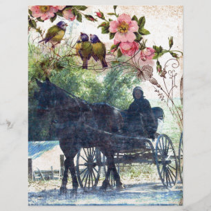 Amish Horse et Buggy Birdie Texture