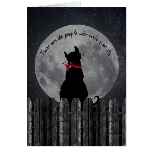 amitié-chat au clair de lune sur la clôture (Devant)