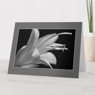 Amitié en noir et blanc Carte de voeux encadrée