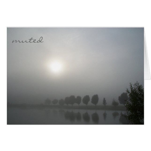 Amorti (Devant horizontal)