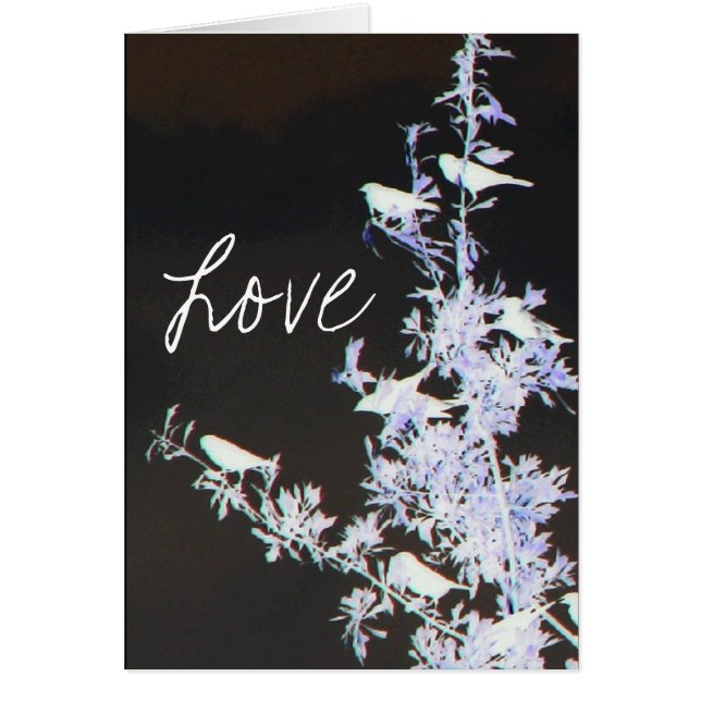 Amour (Devant)