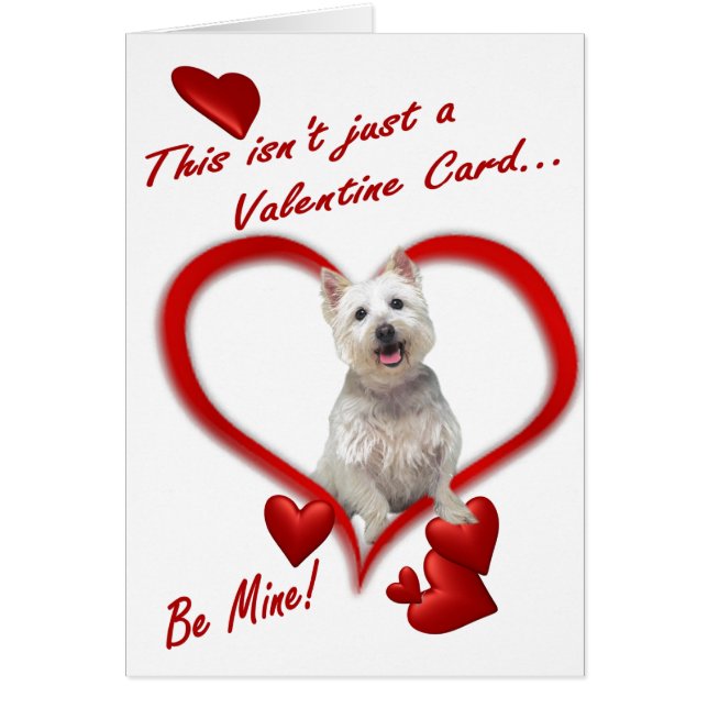 Amour de chiot de Westie sous enveloppe - nouvelle (Devant)