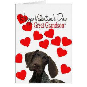 Amour de chiot grisâtre brillant de Valentine
