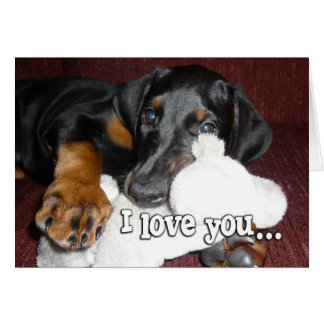 Amour de chiots - Adorable chiot Dobermann Pinsche