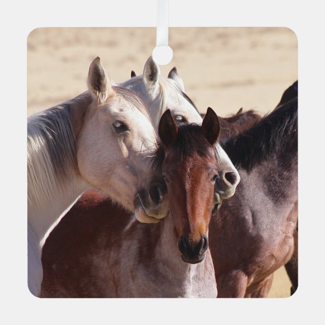 Amour de famille sauvage, Ornement (Recto)