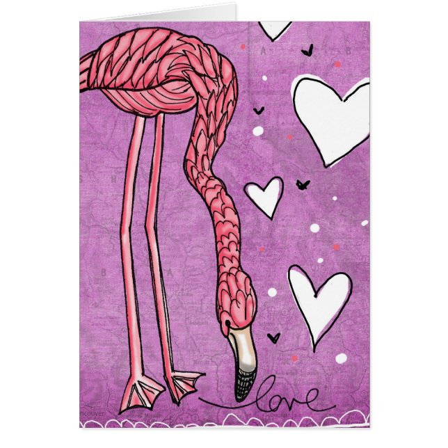 amour de flamant (Devant)