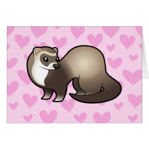 Amour de furet