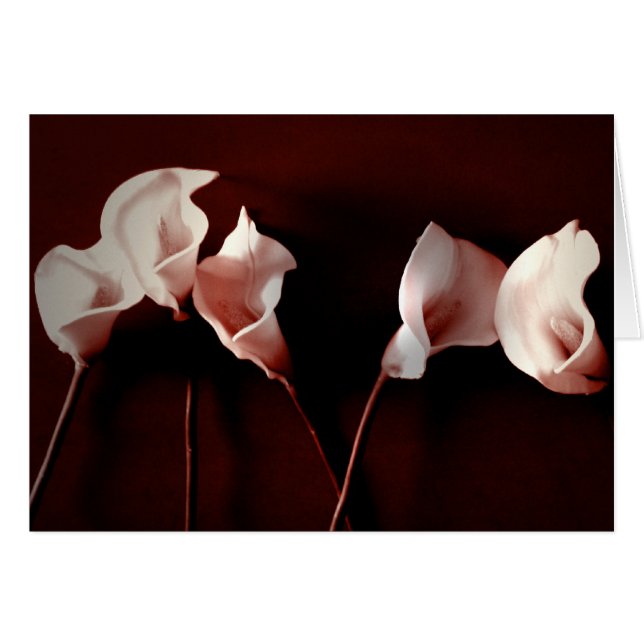 Amour de lis (Devant horizontal)