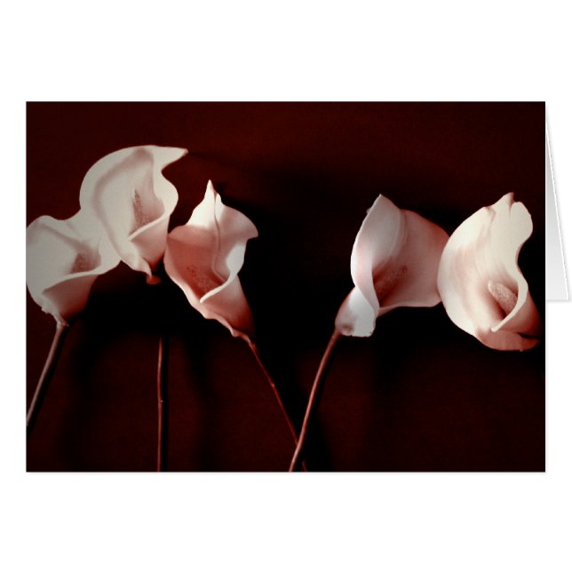 Amour de lis (Devant horizontal)