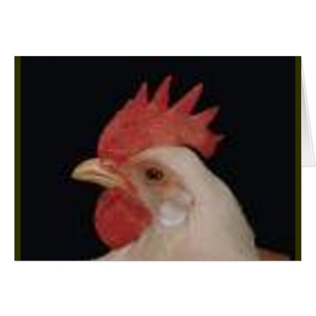 Amour de poulet (Devant horizontal)
