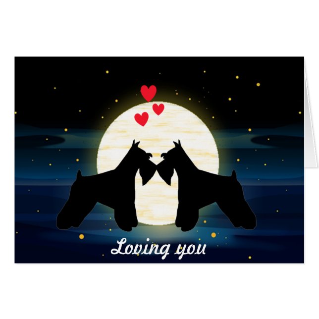 Amour de Schnauzer (Devant horizontal)