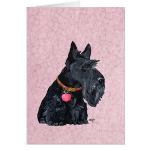Amour de Terrier Écossais