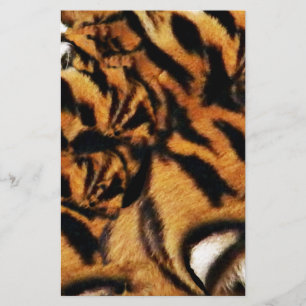 Amour de Tigre_