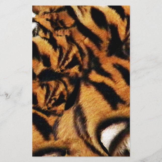Amour de Tigre_ (Devant)