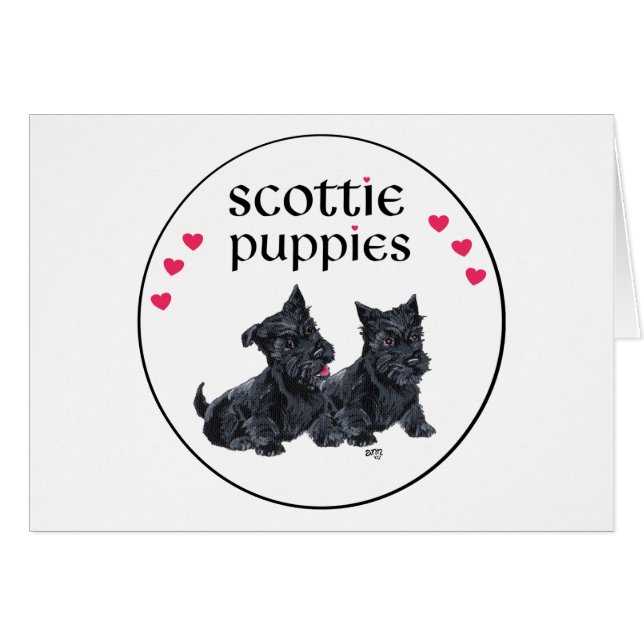 Amour des chiots Scottie à la Saint-Valentin (Devant horizontal)