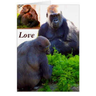 Amour et protection_