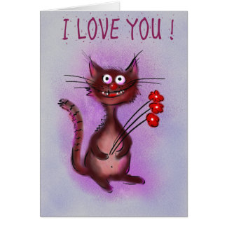 Amour fol de chat