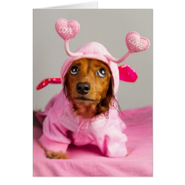 Amour inconditionnel (Devant)