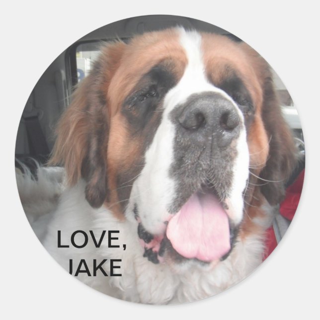 AMOUR, JAKE STICKER (Devant)
