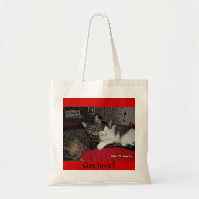 Amour obtenu - chats sur un sac (Devant)