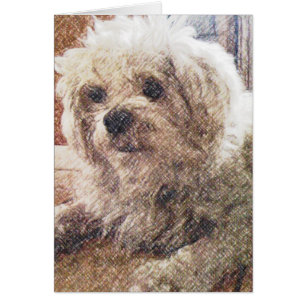 Amour sans conditions