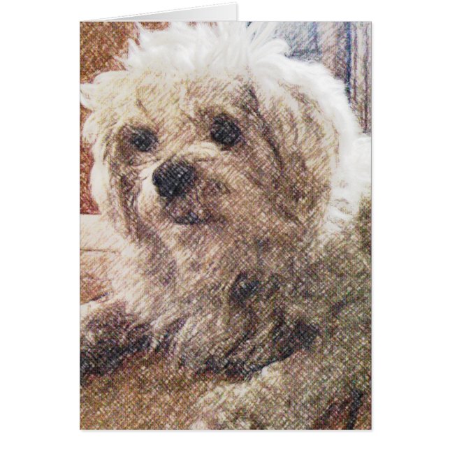 Amour sans conditions (Devant)