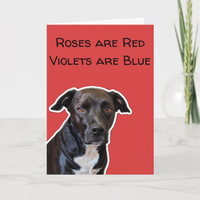 Amoureux de chiens amusants Carte Saint Valentin (Devant)