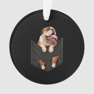 Amoureux de les chiens   Chiens De Poche Dans Votr