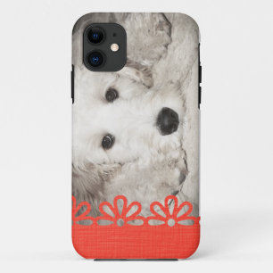 Amoureux de les chiens Photo iPhone 5 Coque