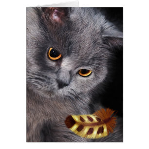 Amoureux des chats britannique à cheveux courts pe