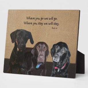 Amoureux des chiens Plaque