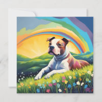 Amstaff American Staffordshire Terrier Rainbow Chi