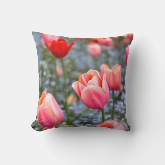 Amsterdam Tulipes Coussin de Lancer Décoration Mai (Recto)