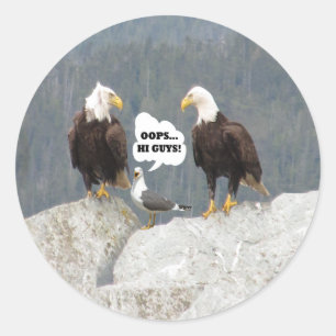 Amusant Aigles et Sticker rond de Mouette