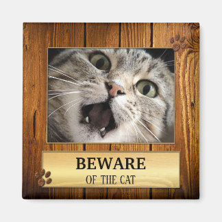 Amusant Aimant Photo Cat Cute