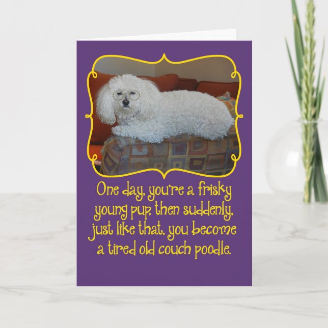 Amusant Ancien Canapé Poodle Carte d'Anniversaire (Devant)