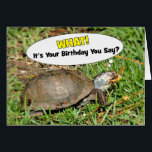 Amusant C'est votre boîte d'anniversaire Tortue av<br><div class="desc">Faites-les rire avec ce drôle de salut d'anniversaire de tortue avec une tortue de l'Est que j'ai "attrapé" avec un grain de pop-corn !</div>