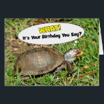 Amusant C'est votre boîte d'anniversaire Tortue av<br><div class="desc">Faites-les rire avec ce drôle de salut d'anniversaire de tortue avec une tortue de l'Est que j'ai "attrapé" avec un grain de pop-corn !</div>