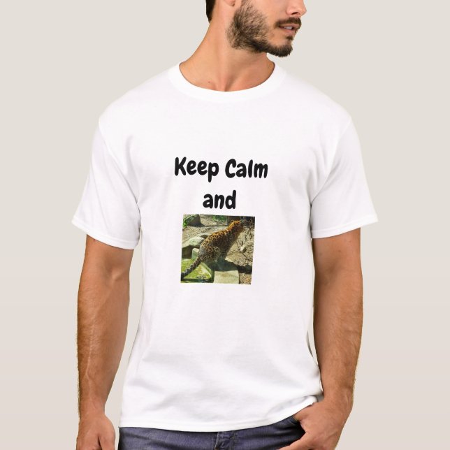 Amusant Garder le calme et T-shirt (Devant)