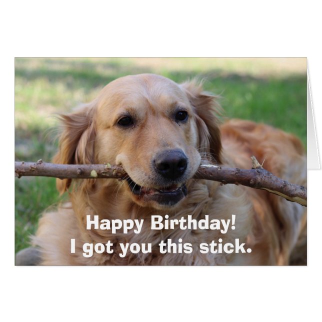 Amusant Golden Retriever Chien Humor Joyeux annive (Devant horizontal)